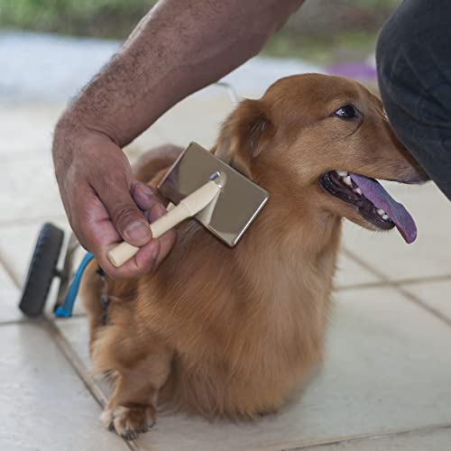 Rasqueadeira GG Germanhart