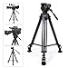 TARION TR-VT77 Camera Tripod Fluid Drag Head Tripod Full Panoramic View 360 1/4" & 3/8" Quick Release Plate DSLR Photography Studio Professional Heavy Duty Tripod for Comcorder Video