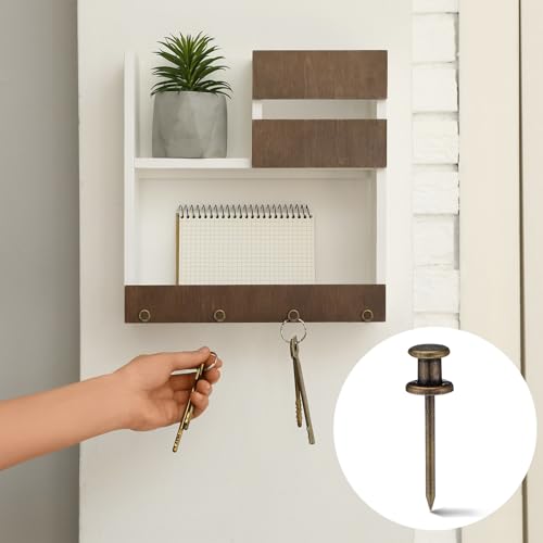 Image of Watersay 50 Pcs Double Headed Picture Hanging Nails Long Push Pins for Wall Thumb Tacks Wall Hooks Decorative Picture Hanging Nails for Home Office Photo(Bronze,Gongzi)