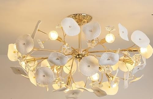 _ȃVfA, _ȉƂ̑LEDCgy_gCgvKipVfArO[݂艺CgƖ(C style large,APP)