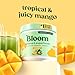 Bloom Nutrition Superfood Greens Powder, Digestive Enzymes with Probiotics and Prebiotics, Gut Health, Bloating Relief for Women, Chlorella, Green Juice Mix with Beet Root Powder, 30 SVG, Mango