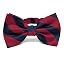 Crimson Red and Navy Blue
