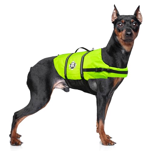 Paws Aboard Dog Life Jacket - Keep Your Canine Safe with a Nylon Life Vest - From XX-Small to X-Large Designer Life Jackets - Perfect for Swimming and Boating - Neon Yellow, X-Small