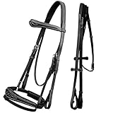 ExionPro Bridle with Crownpiece Fancy Anatomic Browband and Anatomic Noseband - Removable Flash & We
