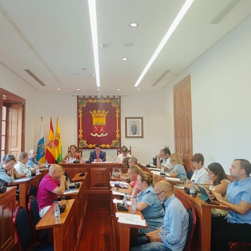 Pleno Ordinario de 25 de julio de 2025.