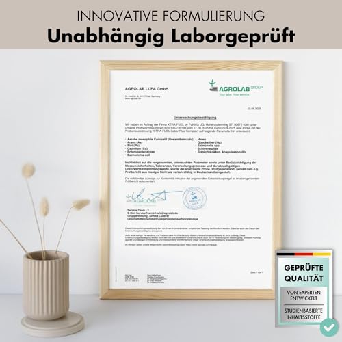 Leber Komplex - 180 Kapseln hochdosiert - mit Mariendistel (80% Silymarin), Artischocke, Löwenzahn & Cholin für die normale Funktion der Leber - laborgeprüft, vegan & zertifiziert