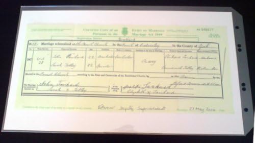 Enigma Archival Acid Free Long Certificate Pocket for Ring Binders 25 Pack