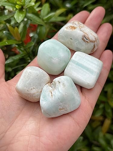 Image of GAF TREASURES 1 /2 LB Caribbean Calcite Tumbled Stones, Polished Natural Caribbean Calcite Gemstone, Caribbean Calcite Healing Crystals (Caribbean Calcite)