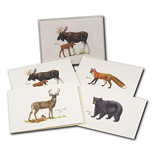 Image of Earth Sky + Water - Mammal Notecard Set - 8 Blank Cards with Envelopes (2 each of 4 styles)