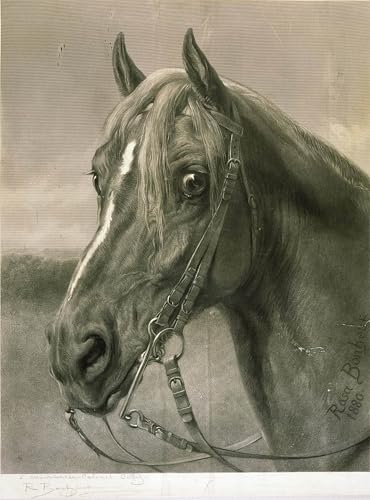 Tableaux de Rosa Bonheur Colonel Cody impression sur toile pour habiller un grand mur vide