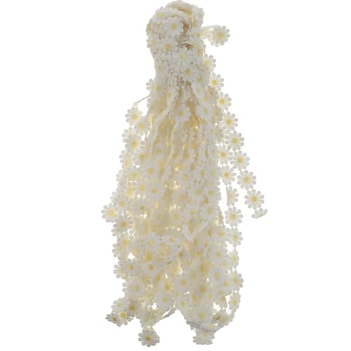 COSMEVIVI A?ehJ[Xg 󉩐F |p{ ߑ p[eB[fR[Vp