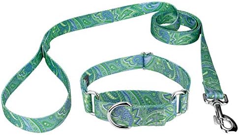 Country Brook Petz - Green Paisley Martingale Collar and Leash - Paisley Collection with 6 Classy Designs (1 Inch, Large)