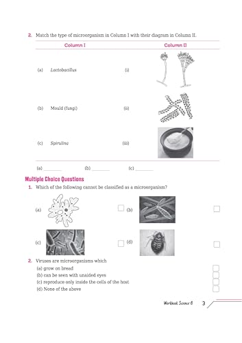 Image of Arihant Workbook Curiosity Science Class 8 | NCERT Textbook Based 2025 Edition | Science Workbook with Activity Based Questions, Practice Worksheets & ... CBSE /NCERT Class 8 Students | English Medium