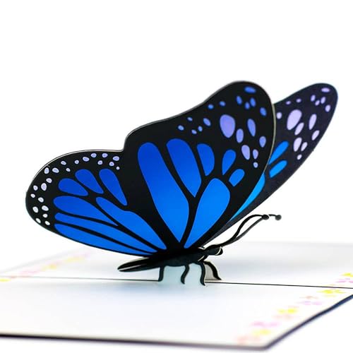 Blue Morpho Butterfly |bvAbvJ[h ? 3Do[Xf[J[h   ꂳ Fl | ̃o^tCO[eBOJ[h a LO 肪Ƃ Fp | j[NȃMtgACfA