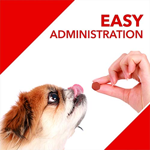 Drools Absolute Dog Supplement Tablets, Calcium Falvour 400g 110 Pieces Jar (Image - 6)