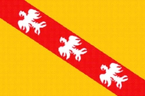 U24 Drapeau de la Lorraine 60 x 90 cm