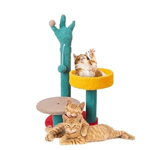 Amazon Basics Multi-Color Cactus Plant Cat Tree with Platform & Scratching Posts | Unique Design for Stylish Play | Cozy Living Spaces | Durable Construction | Interactive Play Zones