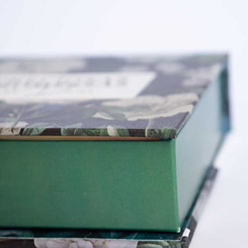 Preciosas Promessas de Deus - Com 220 versículos e Letras grandes - Mod.pp-03