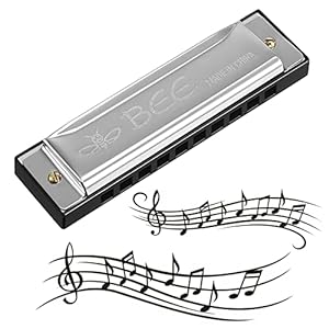 Meifyomng Harmonica, 10 Holes 20 Tones Mouth Organ Key of C Stainless Steel Mini Blues Harmonica Perfect Gift for Kids…