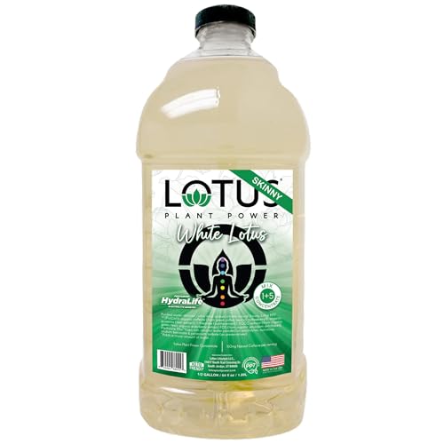 Skinny White Lotus Plant Power Zero Sugar Energy Drink | Natural Caffeine & PP7 Formula | Plant-Based Organic Ingredients | Keto-Friendly Zero Net Carbs | 1:5 Mix Makes 64 6oz Drinks
