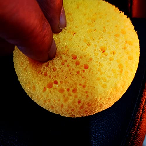 Xilaotou A Box Of 12 Tack Sponges (Coarse Holes) #TOP5