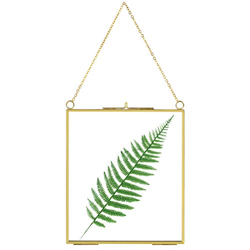 FunPa Hanging Photo Frame Pressed Flower Frame Gold Clear Glass Picture Frame for DIY Artwork Display Frame Vintage Gallery Wall Frames Wall Mounted Photos Frame Plant Specimen Vertical Decor 6.3in