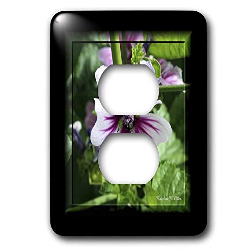 2 prises de courant plaque murale 15,2 cm Maulva Flower multicolore - 2
