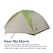Big Agnes Blacktail 3 Package: Includes Tent and Footprint, Gray/Green, 3 Person