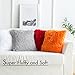 MIULEE Set of 2 Fall Luxury Faux Fur Throw Pillow Cover Deluxe Decorative Plush Pillow Case Cushion Cover Shell for Sofa Bedroom Car 18x18 Inch Orange Halloween