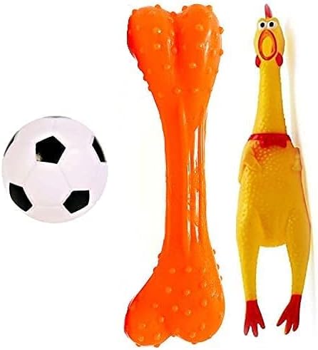 Dog Trust Dog & Puppy Rubber Chew Toys Combo- Football, Silicon Dumbbell, Squeaky Chicken Small