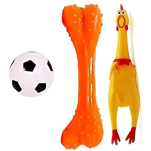 Dog Trust Dog & Puppy Rubber Chew Toys Combo- Football, Silicon Dumbbell, Squeaky Chicken Small