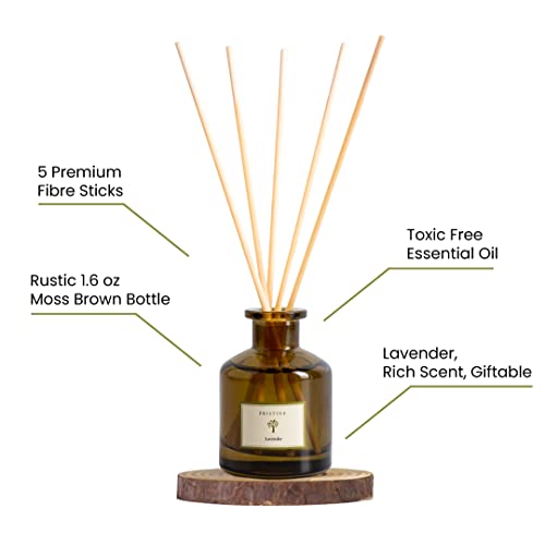 PRISTINE Lavender Dream Reed Diffuser for Home | Fresh Lavender & Eucalyptus Room Fragrance Reed Diffusers, Oil & Room Diffusers with Reeds Stick Set | Home Fragrance Scent Diffuser for Relaxation by Pristine - Image 4