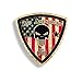 Rustic Skull 2nd Amendment Handgun Pistol Warning BADGE Decal Sticker Gun USA Flag