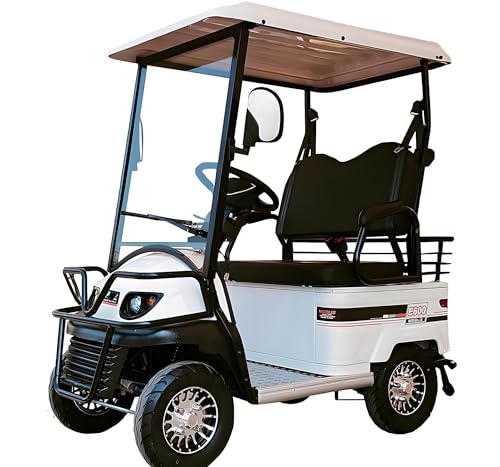 4 Wheel Seniors Adults Travel Mobility Scooter ，2-Seat