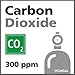 Carbon Dioxide Calibration Gas - 300 PPM (CO2)