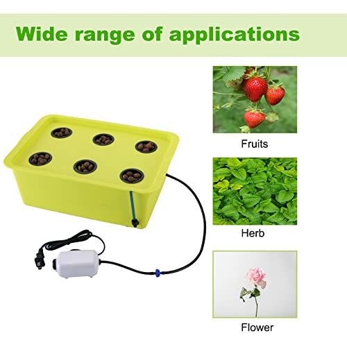 Myfully Hydroponic System Growing Kit | Plants Herb Garden Starter Set Diy Self Watering Indoor Hydroponics Tools With Large Bubble Stone Rockwool Bucket Air Pump (6 Sites) #TOP4