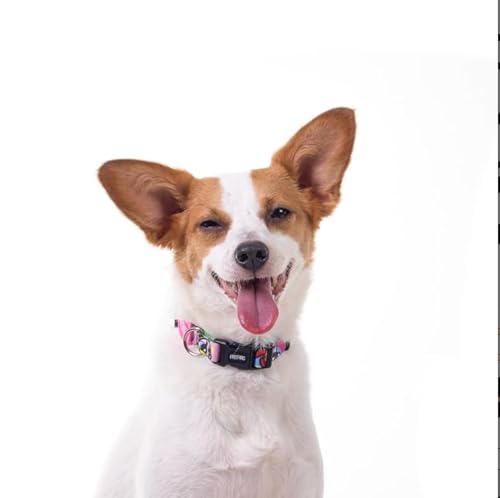 FreeFaro - Coleira Meninas Superpoderosas - PP | Ajustável, Poliéster Resistente, Fecho Seguro com 4