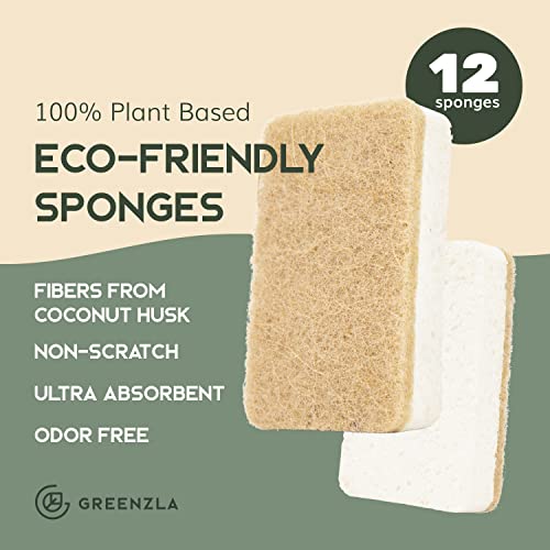 Greenzla Kitchen Sponges, Plant-Based Dish Sponges, Non-Scratch Sisal Hemp Scouring Pads for Dishes, Countertops, Bathtubs, and Tiles, 12 Pack by GREENZLA - Image 2