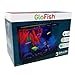 GloFish Crescent aquarium Kit 3 Gallons, Includes Hidden Blue LED Light And Internal Filter