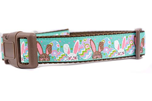1 inch wide dog collar