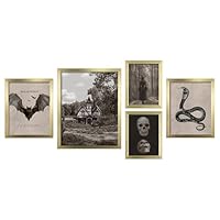 ArtbyHannah Framed Halloween Wall Decor Gallery Wall Frame Set, Spooky Wall Art with Gothic Dark Haunted Mansion Pictures for Living room, Mantel Stairway Indoor Decorations (Assorted Size, 5 Pack)