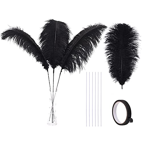 Ballinger Black Ostrich Feathers Bulk - Making Kit 10Pcs 28inch Large Ostrich Feathers for Floral Arrangement, Vase, Wedding Party Centerpieces and Halloween Home Decor