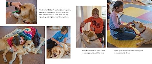 Can We Help?: Kids Volunteering to Help Their Communities - Image 4