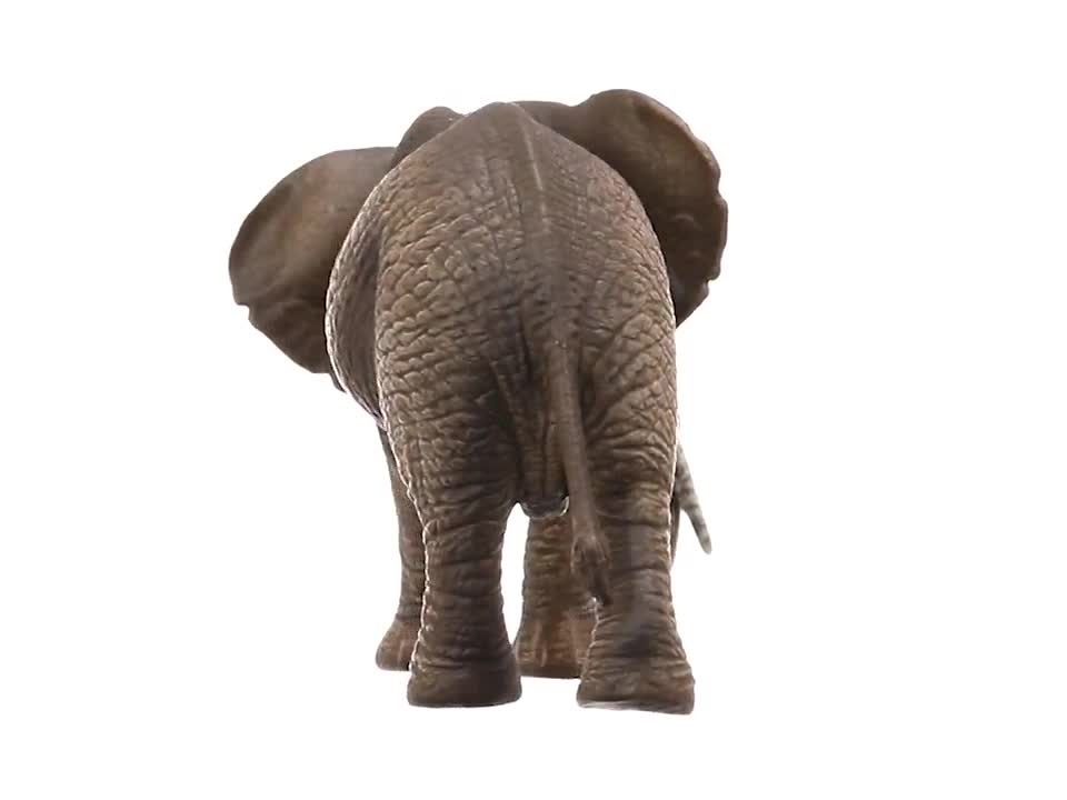 シュライヒ ワイルドライフ アフリカ象 (オス) フィギュア 14762 w17b8b5 Amazon.co.jp: シュライヒ(Schleich) ワイルドライフ アフリカ象