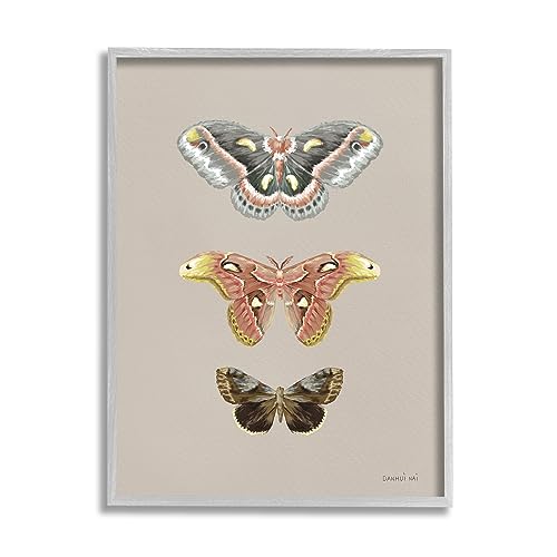 Image of 'Vintage Moth Specimens'| Framed Giclee Art | Stupell Industries | Gray, 24 x 30 Inches, Easy to Hang and Sturdy, Made in USA, by Danhui Nai