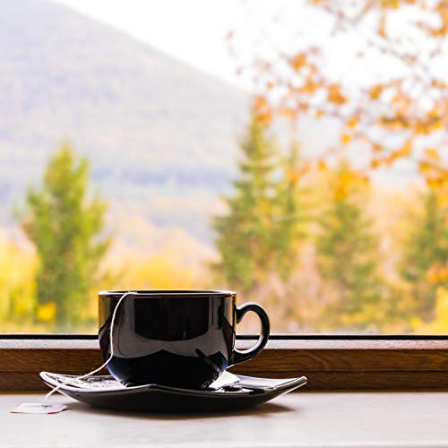 Apricot Tea, Loose Leaf Flavored Black Tea - Caffeinated, Superfruit | Bulk 8Oz, 80-100 Cups | The Spice Hut, First Sip Of Tea #TOP4