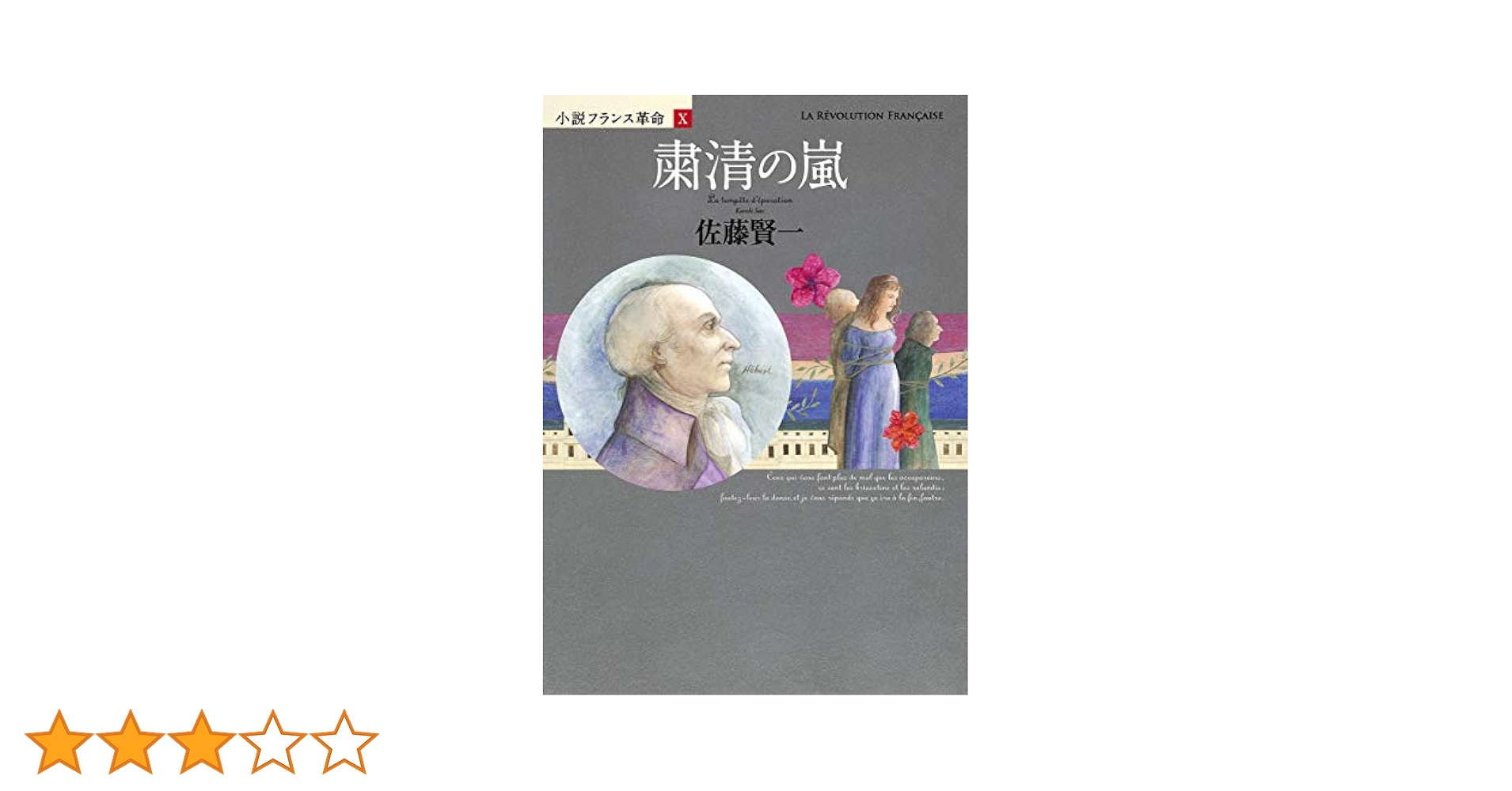 小説フランス革命 10 粛清の嵐 | 佐藤 賢一 |本 | 通販 | Amazon