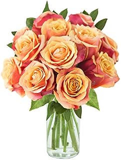 Arabella Farm Direct Bouquet of 12 Fresh Cut Orange Roses with a Free