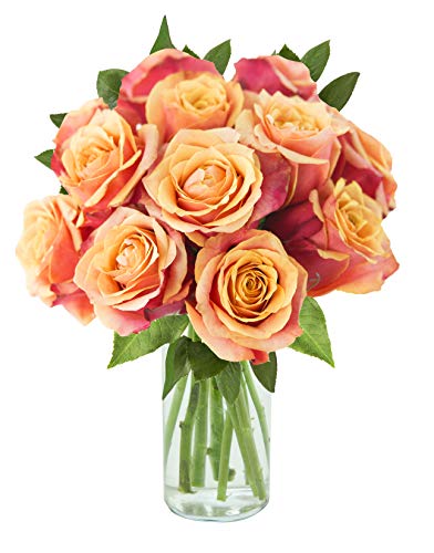 Arabella Farm Direct Bouquet of 12 Fresh Cut Orange Roses with a Free