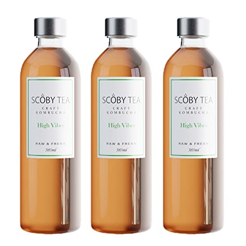 y3{ZbgzY Ru` t[o[FnCoCuX 385ml M h u[ɂnhCh bSCOBY TEA